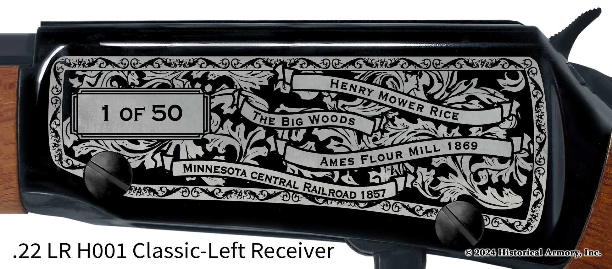 Rice County Minnesota Engraved Henry H001 Rifle